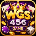 WGS456 Game